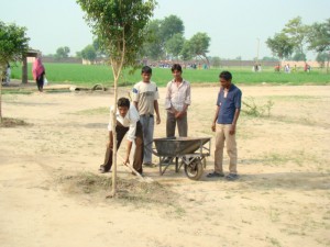 Students Taking Part in Tree-planting in Machike School